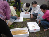 a3f3eb06.JPG
