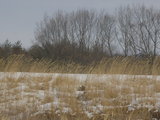 a47fbb94.JPG