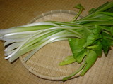 a94009e8.JPG