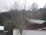 a97c257f.JPG