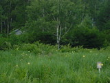 b005f4fb.JPG
