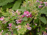 b08697c7.JPG