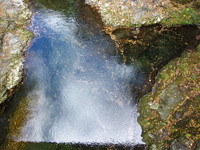 IMG_0740