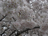 b317a0b6.JPG