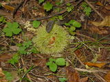 b31bc231.JPG