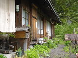 b44477f0.JPG