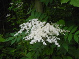 b58be587.JPG