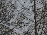 b63a69e0.JPG