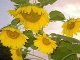 b77d400d.JPG