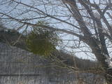 b7fd3b04.JPG