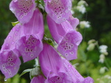 b89e813b.JPG