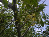bcf71374.JPG