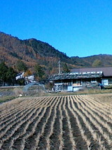 be68f6d7.JPG