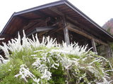c1c40314.JPG