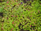 c5c95179.JPG