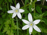 c79e4435.JPG