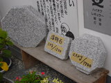 ca060e50.JPG