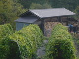 ca40523d.JPG