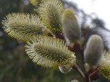 cb296389.JPG