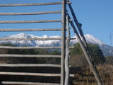 cb5020a8.JPG