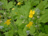 cbb83901.JPG