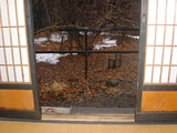 cd041eb4.JPG