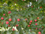 d05b52b1.JPG