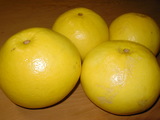 d12b3305.JPG