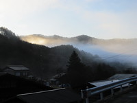 IMG_0894