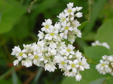 dd6012a6.JPG