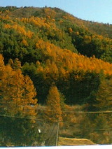 e2179157.JPG
