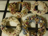 e2a2c53f.JPG