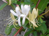 e8038d4b.JPG