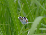 f49373e2.JPG