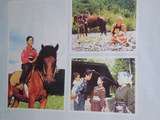 f4dfb6d9.JPG