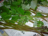 fe364725.JPG