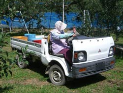 �ڥȥ顡����С����֥�