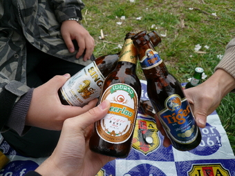 桜の下で思い出のビールを飲もうよ!の会