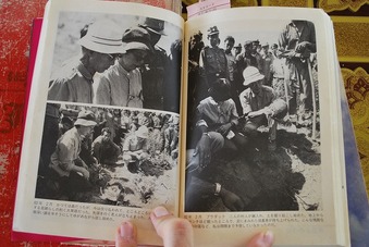 ��¤���ꥢ�룳