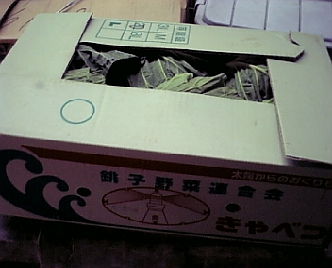 とん金5