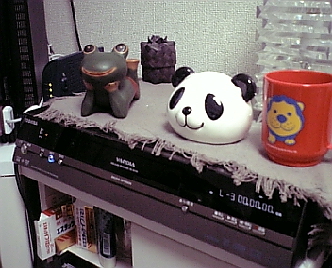 DVD