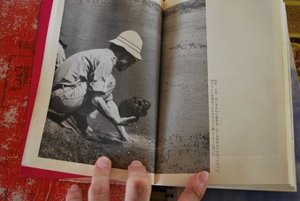 ��¤���ꥢ�룴