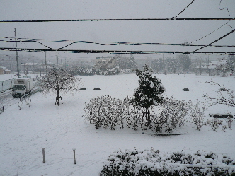 雪