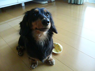 20080512143131