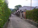 hagi
