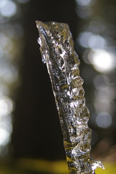 070326ni07