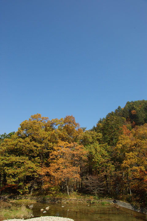 091104½©¤Î¹¥Æü¡¢¤½¤Î£±_02