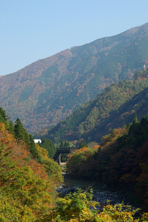 091104½©¤Î¹¥Æü¡¢¤½¤Î£±_01