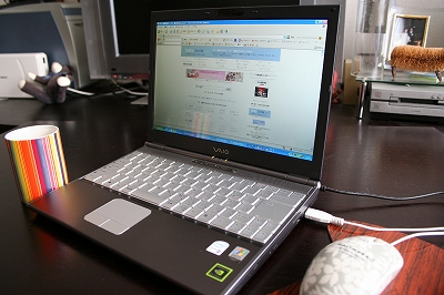 VAIO�����