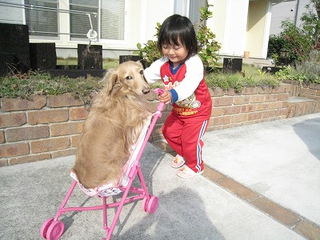BlogPaint